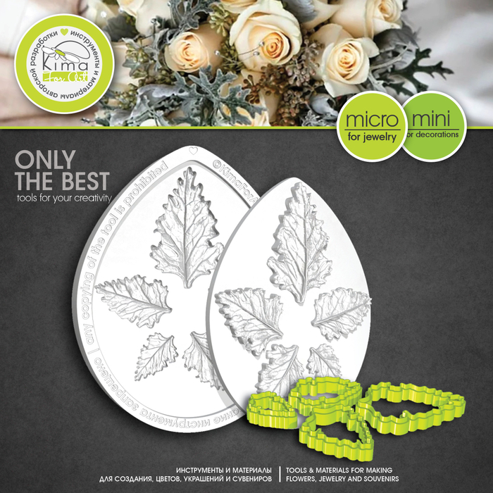 Цинерария MINI | MICRO