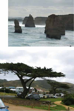 Австралия - Terra Incognita. Когда звери еще были людьми