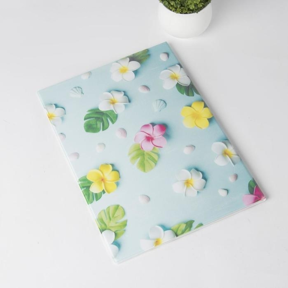 5243186 Папка для семейных документов, 4 комплекта, цвет голубой