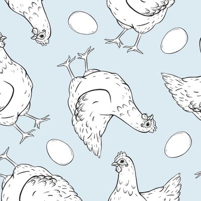 Курочки и яйца, контурный черно-белый принт на голубом