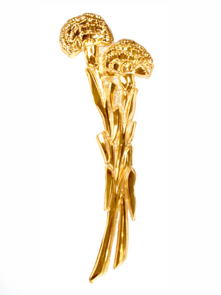 Гвоздика двойная