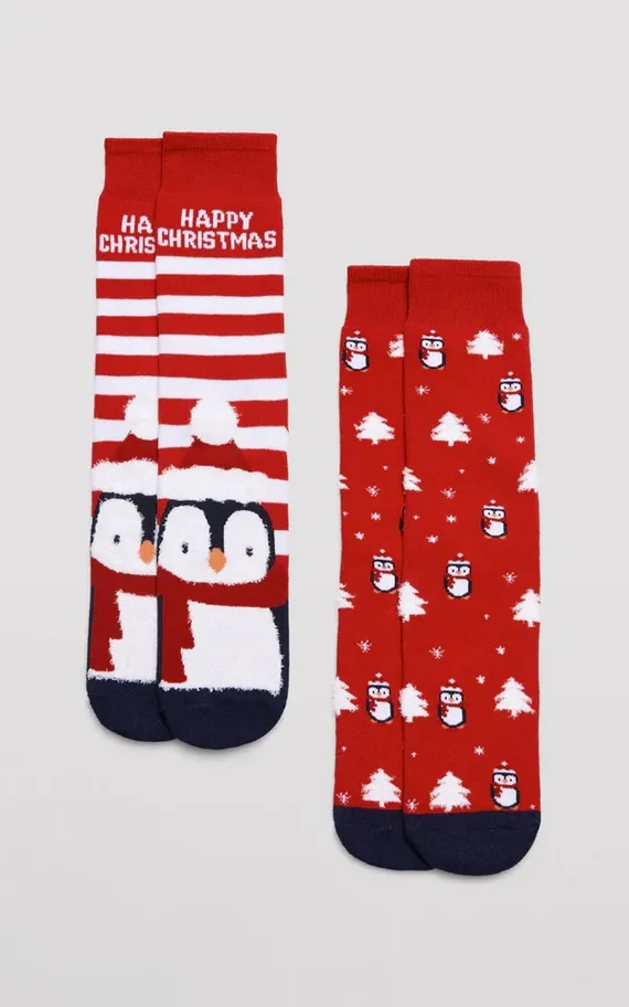 22173 Носки мужские 2 пары в упаковке