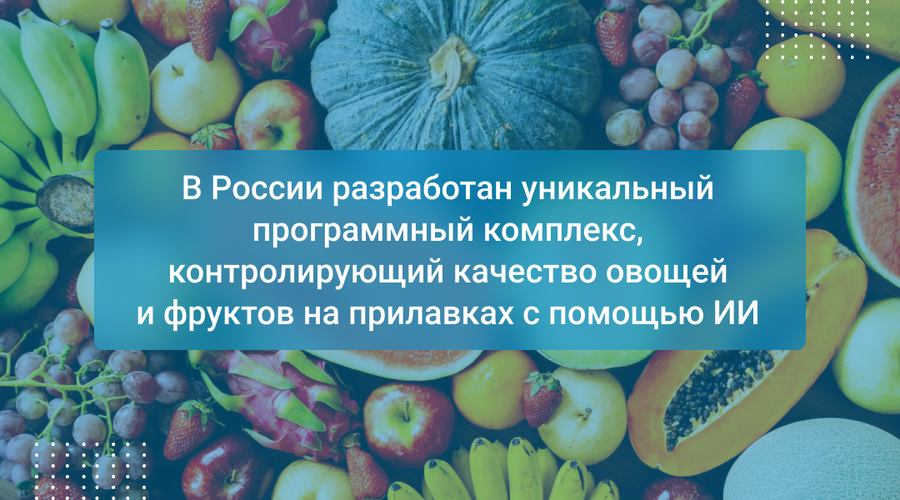 В России разработан уникальный программный комплекс, контролирующий качество овощей и фруктов на прилавках с помощью ИИ