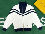 Худи Louis Vuitton, арт. 464546050