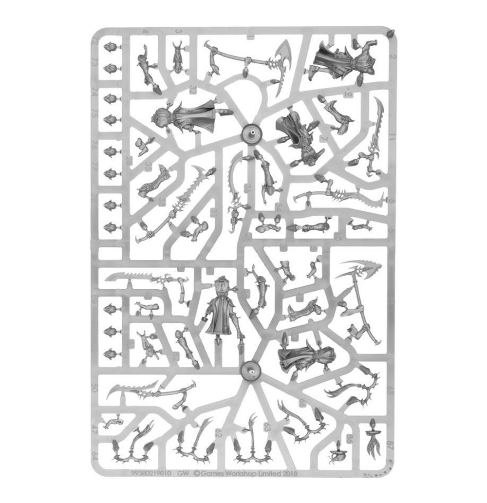 Vanguard: Idoneth Deepkin