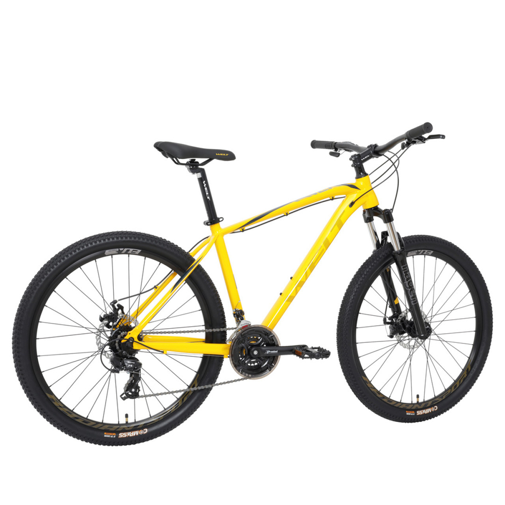 Горный велосипед Welt Raven 1.0 D 27 (2023)