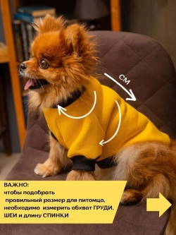 Толстовка для собак и кошек