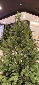 Искусственная ель «Монтерей» (Литая хвоя) от 1.5 до 2.4 м
