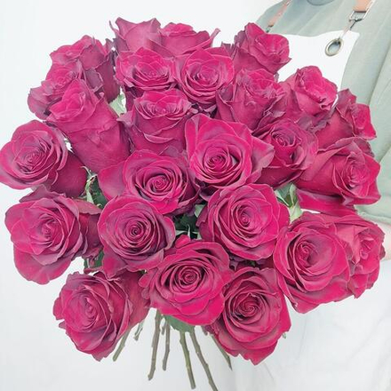 25 бордовых импортных роз Эксплорер