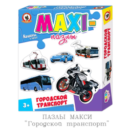 ПАЗЛЫ МАКСИ часть 1