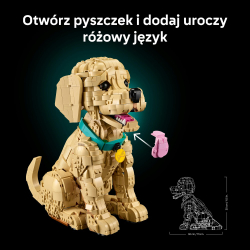 LEGO Icons - Щенок золотистого ретривера 11384