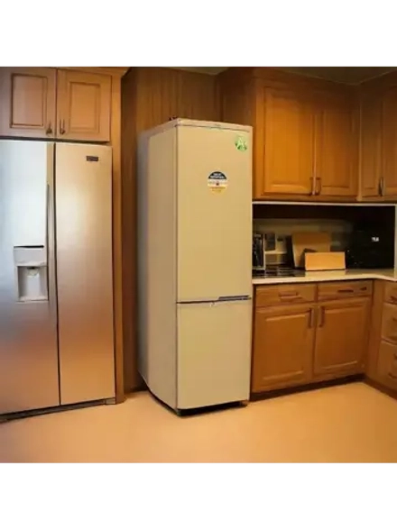 Холодильник двухкамерный R-290 Z