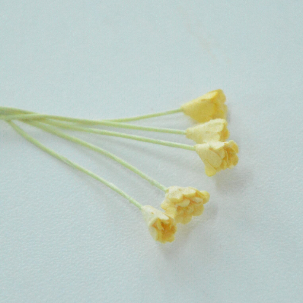 Гипсофила 1см