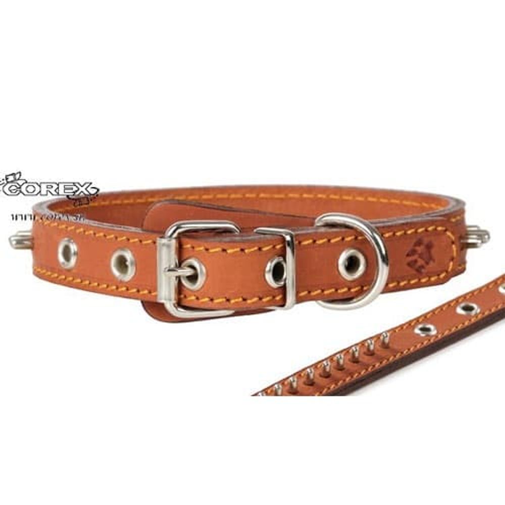 ОШЕЙНИК "BUDDY"  20мм 2сл КОЖА УКР ЁЖИК КОР. 31-43см 20104