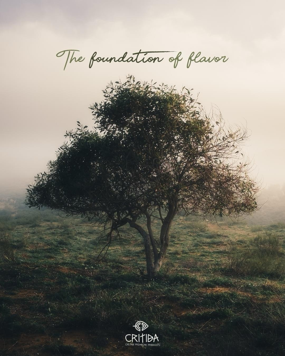 Оливковое масло Critida Morеsca Supеrrior Catеgory, 0,5 л, Греция