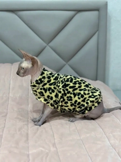 Одежда свитер для сфинксов кошек