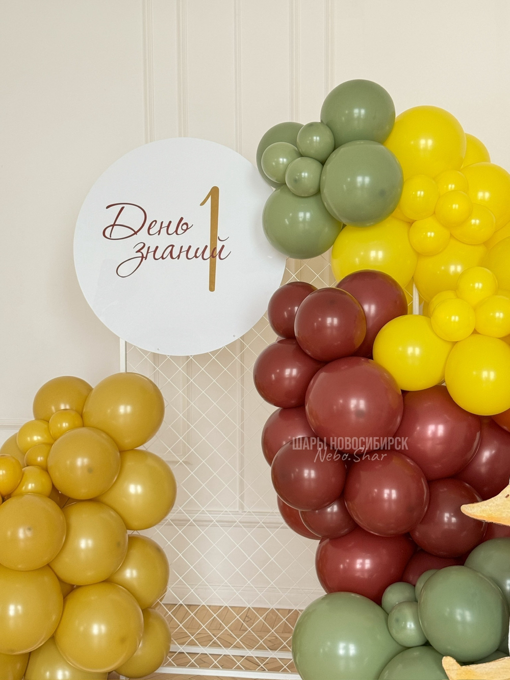 Фотозона 62 1 сентября