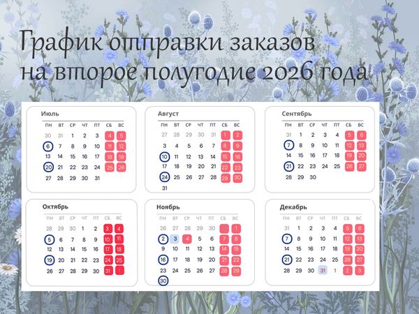 График отправки заказов на второе полугодие 2026 График отправки заказов на второе полугодие 2026