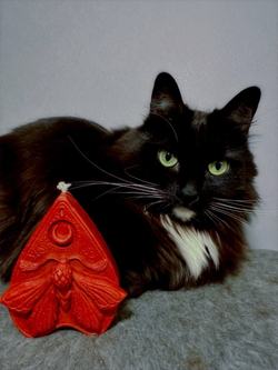 БРАЖНИК — 45° Luna свечи для waxplay