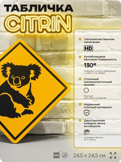 Табличка прикольная "Осторожно, коала" на дверь и стену, информационная и предупреждающая, декоративный знак, 24,5х24,5 см, пластиковая, Айдентика Технолоджи