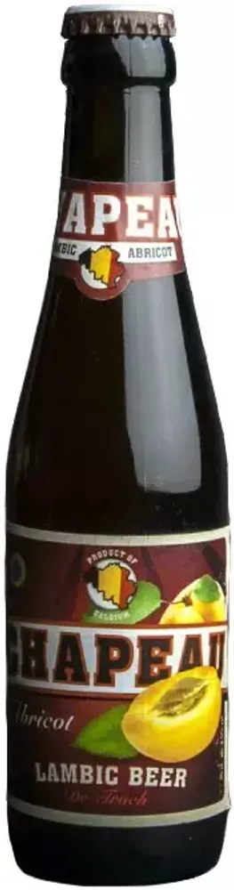 Пиво Шапо Абрикос Ламбик / Chapeau Apricot Lambic 0.25 - стекло