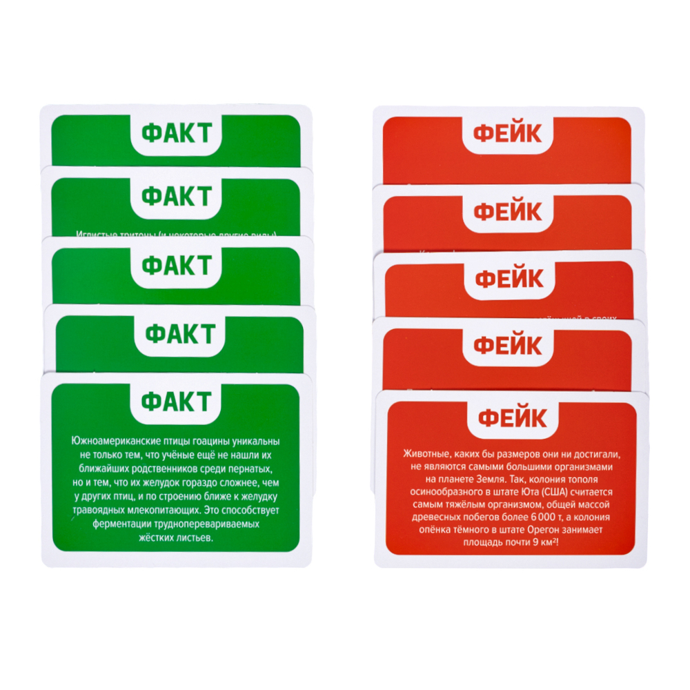 Игра настольная Факт или фейк Чудеса живой природы