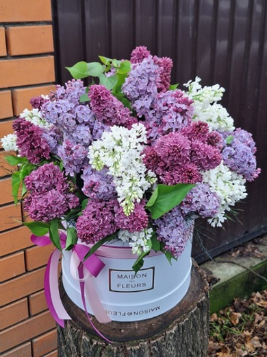 Лиловое облако