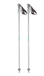 Лыжные палки MOGUL CA