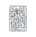 Captain in Gravis Armour