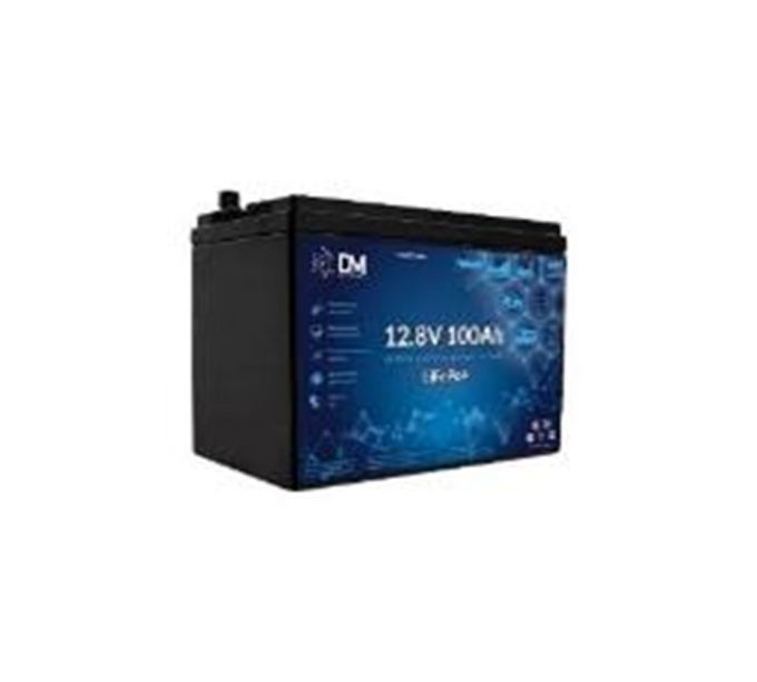 Аккумулятор DM 12V100Ah Lifepo4