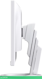 Монитор EIZO FlexScan EV2490-WT