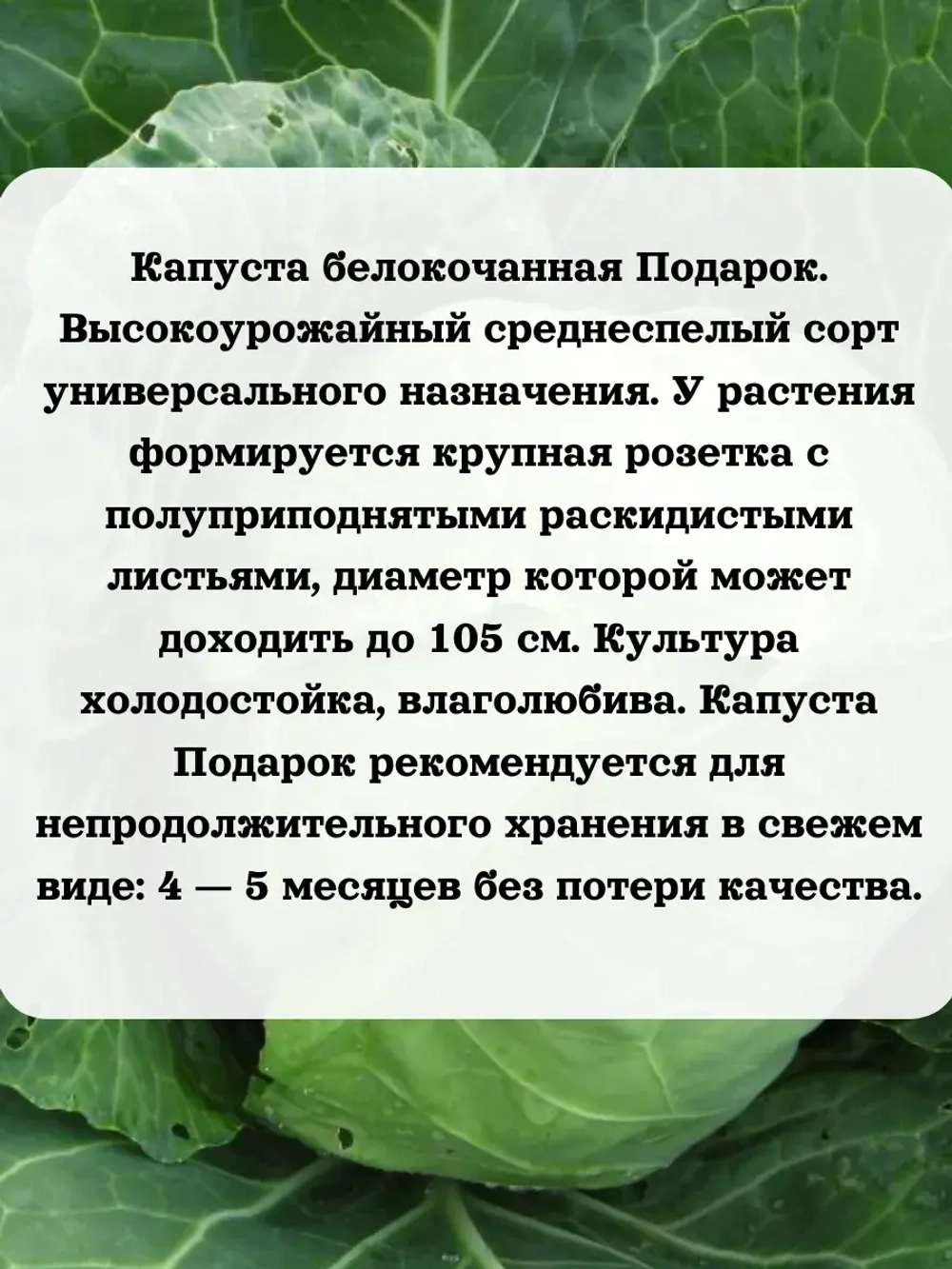 Семена Капуста набор микс 8 шт