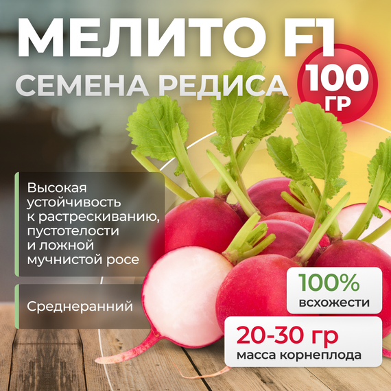МЕЛИТО F1 семена редиса (Hazera | Alexagro) – фото 12