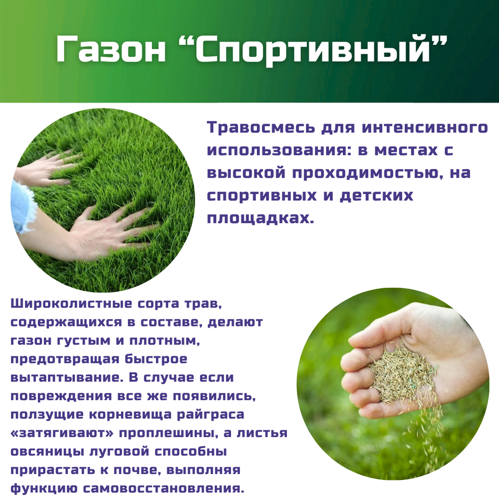 Семена газонной травы, травосмесь Спортивный газон, 1 кг/райграс пастбищный, овсяница красная, фестулолиум, овсяница луговая, райграс однолетний, мятлик луговой/Газон Сити