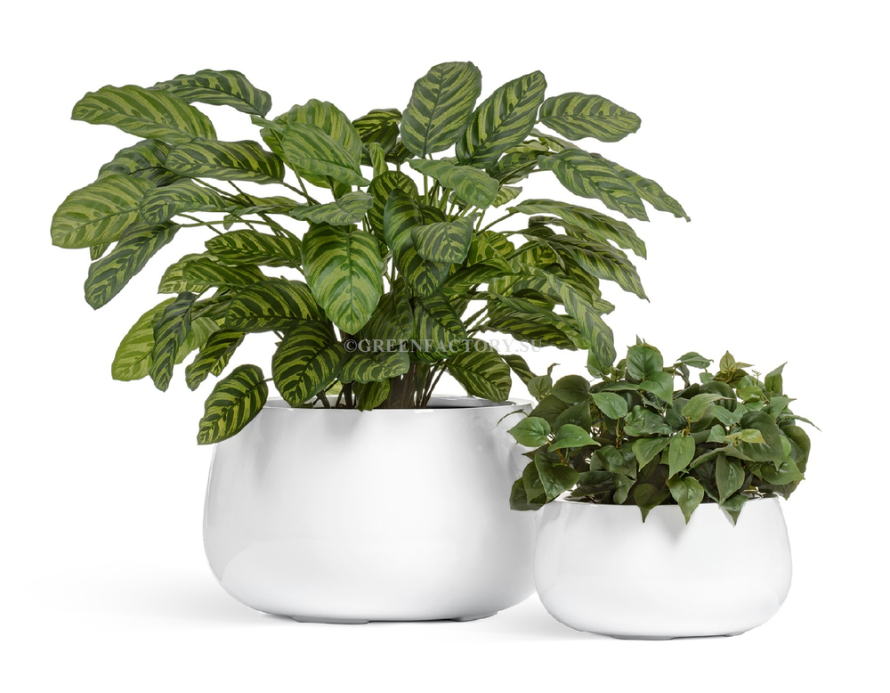 Кашпо TREEZ Effectory - серия Gloss - Низкая чаша - Белый глянцевый лак