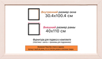 Рама 30x100 для картин и фотографий RP0481925-02