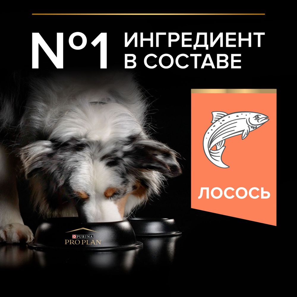 Уценка! Срок 16.07.26/ Сухой корм Pro Plan для взрослых собак средних пород с чувствительной кожей, с высоким содержанием лосося