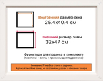 Рама 25x40 для картин и фотографий RP0254305-03(TD3)
