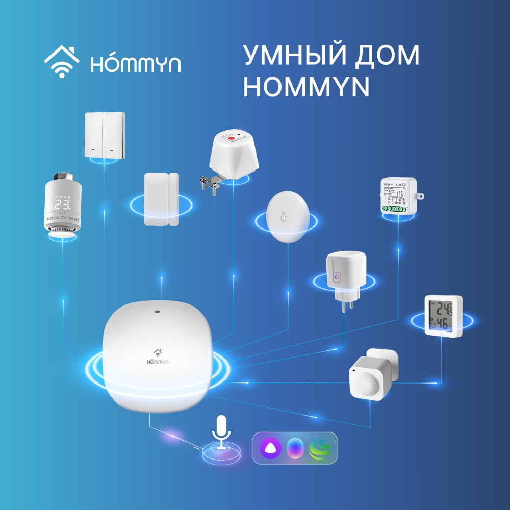 Датчик температуры и влажности HOMMYN THS30ZB