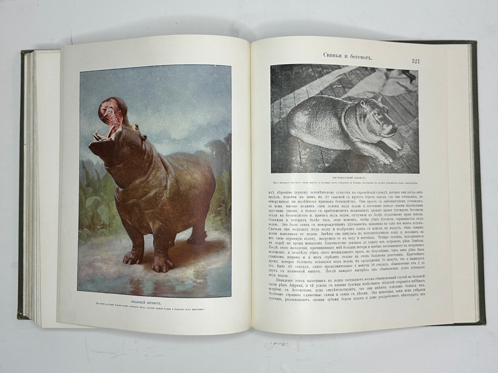 Корниш Чарльз Д. Жизнь животных. В 2-х т. В 2-х книгах. Москва. Издание Кнебель. 1909г.
