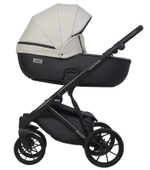 Детская коляска Riko Basic Montana Ecco 3 в 1 31 Light Silver-Black
