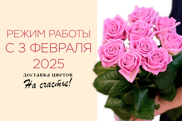 Режим работы с 03 февраля 2025 Режим работы с 03 февраля 2025