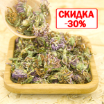 Клевер красный (трава, цвет)