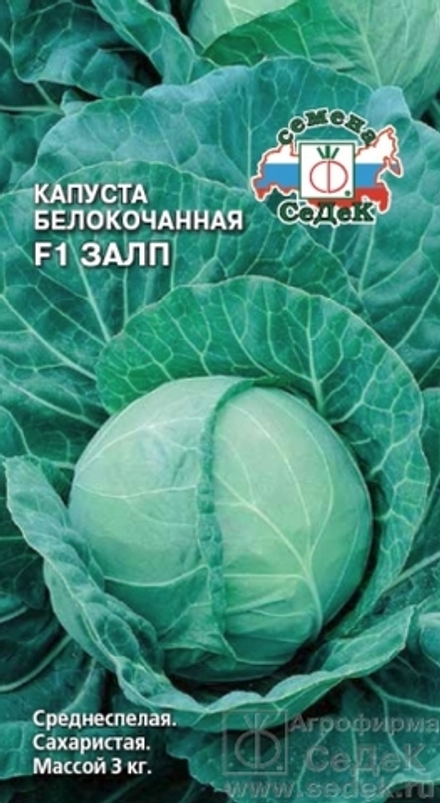 Капуста б/к Залп F1 30шт/0,3-0,5гр Седек
