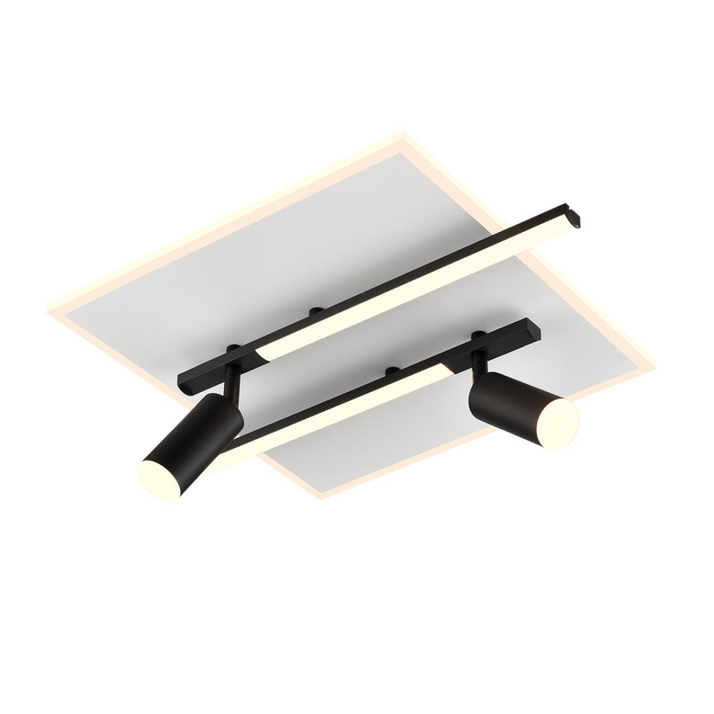 Потолочный светодиодный светильник Lumion STELLS 8256/40CL