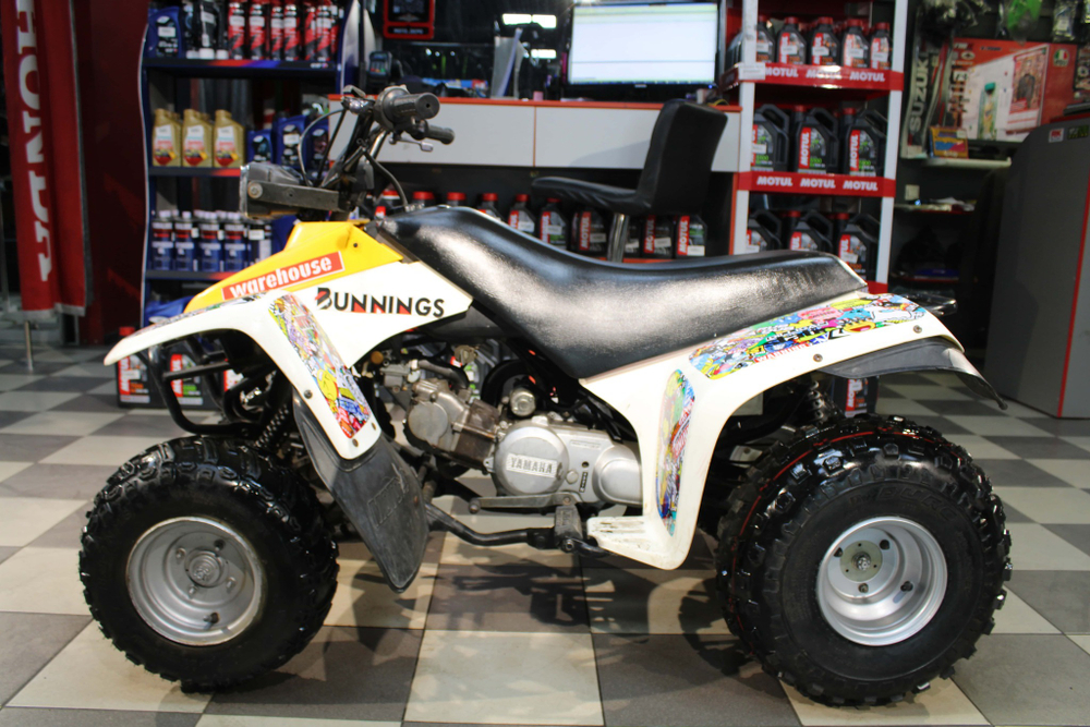Квадроцикл Yamaha YFM100 2000