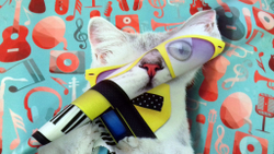 Микровелюр Xpoint (Икспоинт) 0030.02 Кошка с гитарой