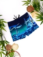 плавки боксеры спортивные для пляжа и бассейна