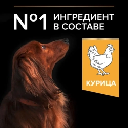 Purina pro plan small & mini сухой корм для взрослых собак миниатюрных и мелких пород с курицей и рисом - 700 г