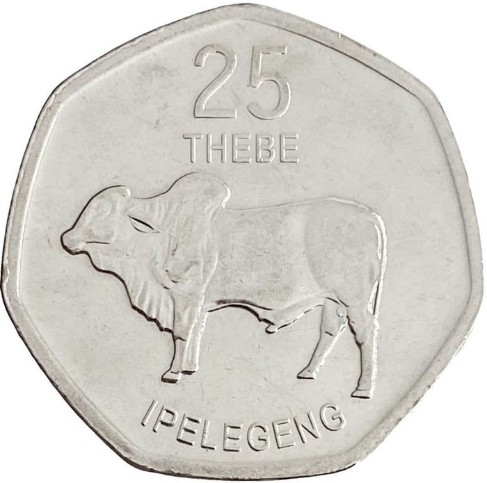 25 тхебе 2013 Ботсвана. Дикий бык (зебу)
